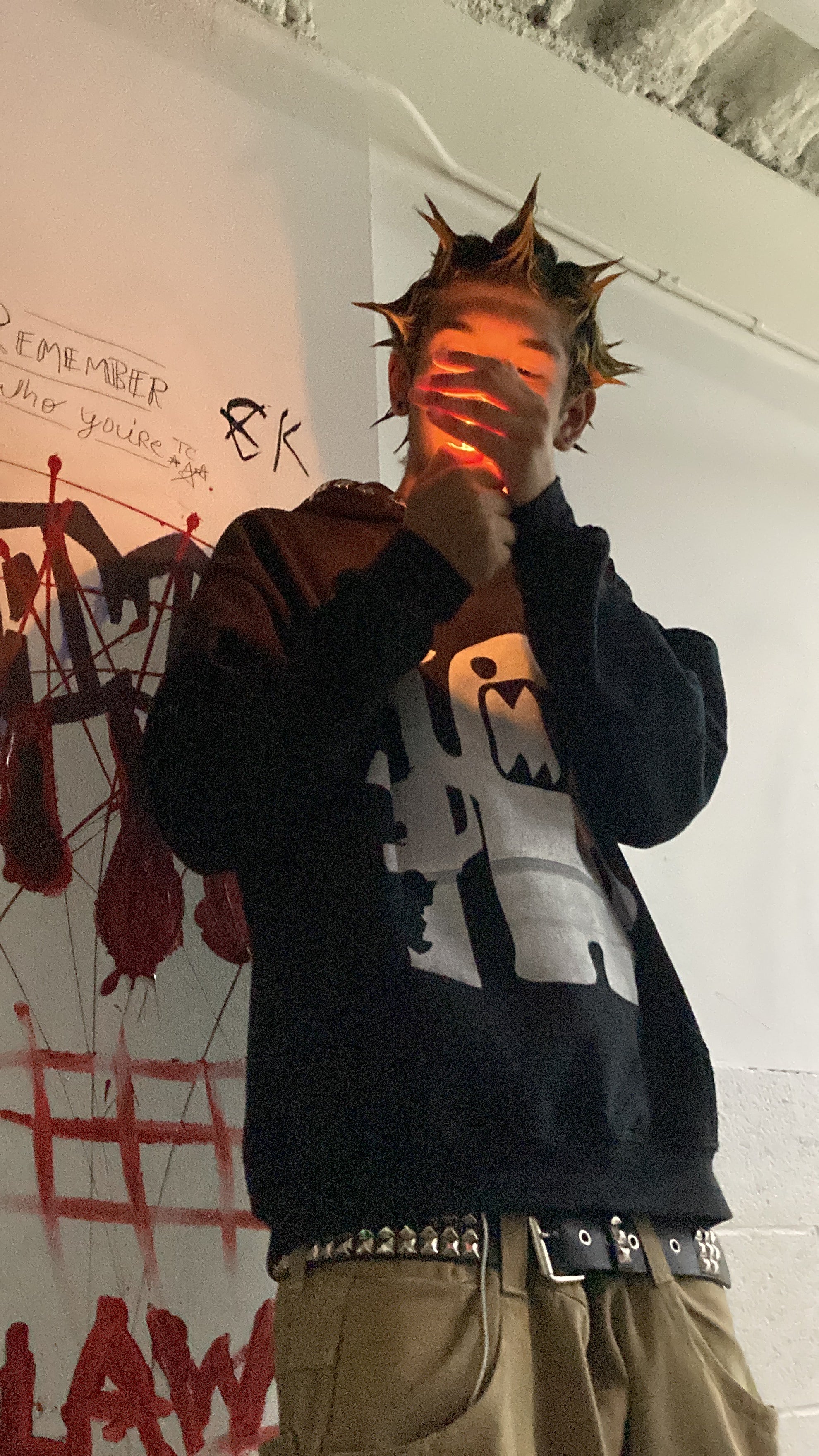 Domo Hoodie